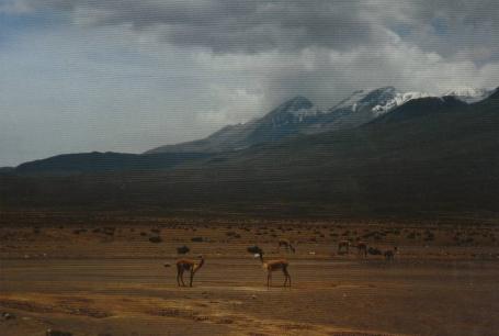 Peru