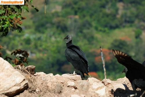 Venezuela: DSC_0012 / 