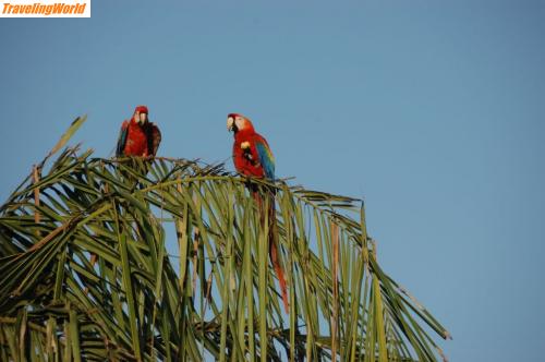 Venezuela: DSC_2129 / 