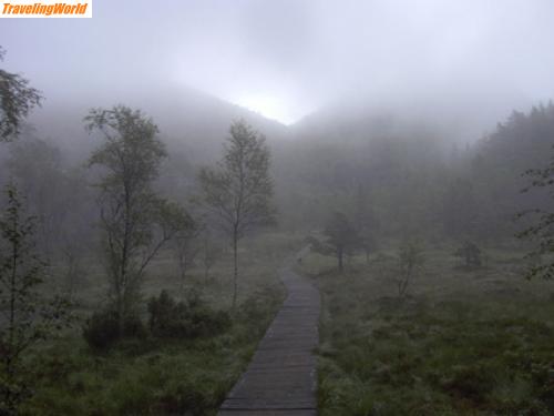 Norwegen: web PreikestMoor / Auf dem Weg zum Prekestolen