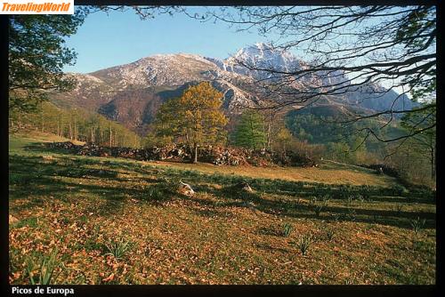 Spanien: picos / 