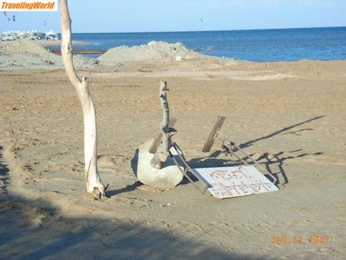 gypten: El_Gouna_Stilleben / Stilleben am Strand