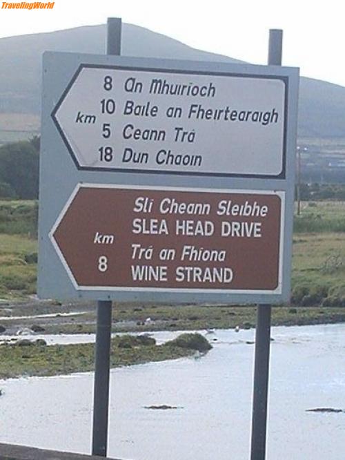 Irland: Irland 1 162 / wir haben bloß \" WINE\" gelesen...und sind los getrampt...(fährt ja auch nur jeden montag ein bus hin und zurück)....die schönste gegend irlands hat sich uns danach aufgetan -auch ohne \"WINE\"