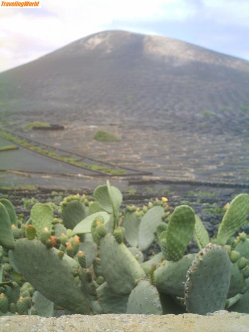 Spanien: lanzarote 07 198 / 