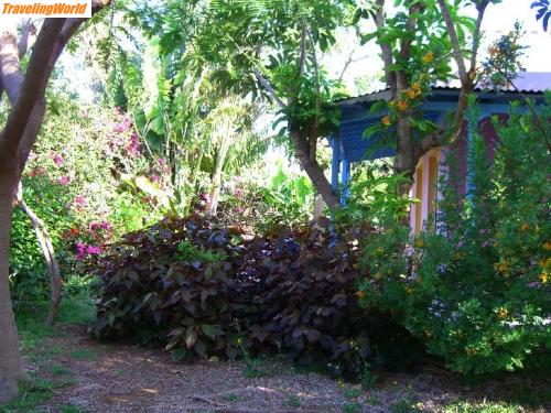 Spanien: Casa.Bayana2 / Casa Bayana - ein Garten Paraadies