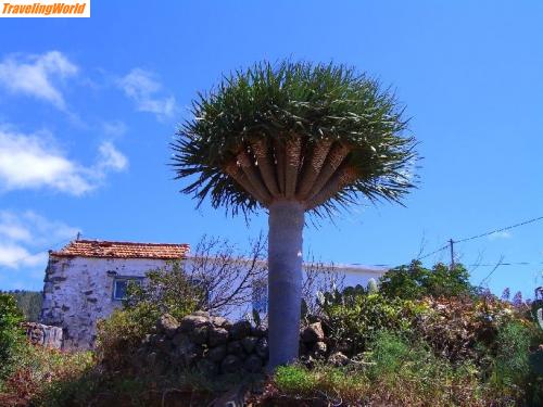 Spanien: Casa. / Landhaus auf La Palma