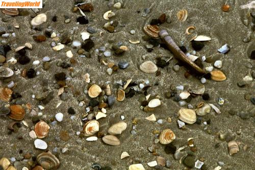 Deutschland: imm026 / Sylt 2003 - Muscheln über Muscheln