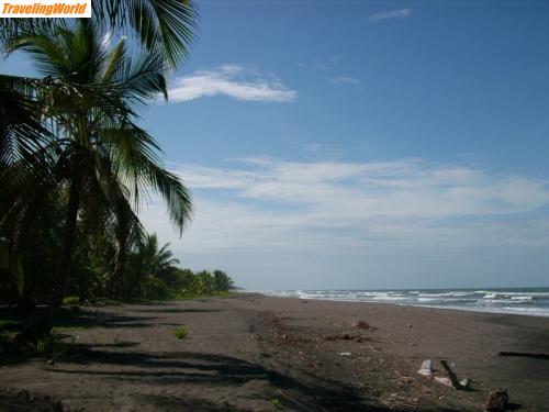 Costa Rica: Tortuguero NP (42)a / 