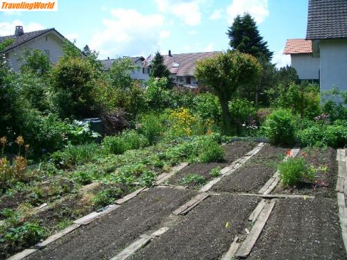 Schweiz: Gemüsegarten vor der Saat / 