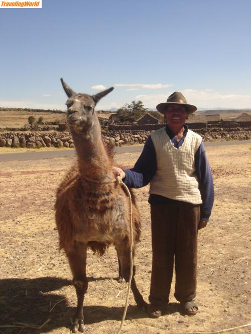 Peru: Mann mit Lama / 