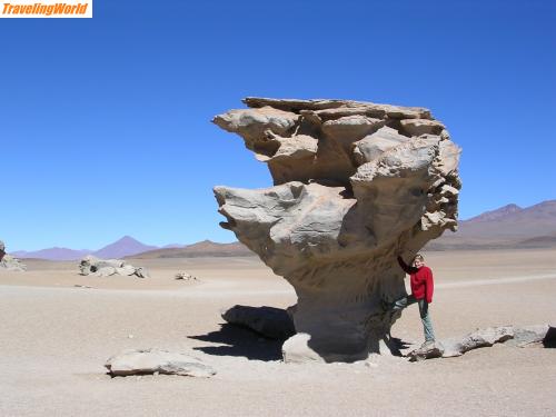 Bolivien: Angie 160 / Arbol de Pietra