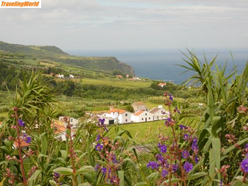 Portugal: Azoren 035-1 / Auf dem Weg nach Mosteiros