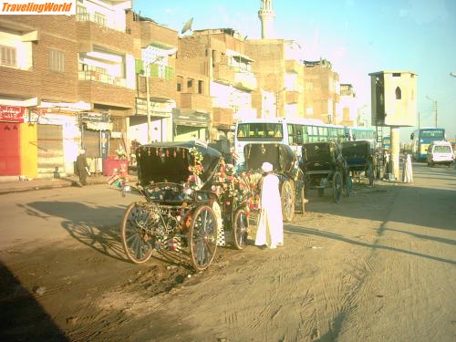 gypten: IM000172 / Kutschen in Edfu warten auf Gäste