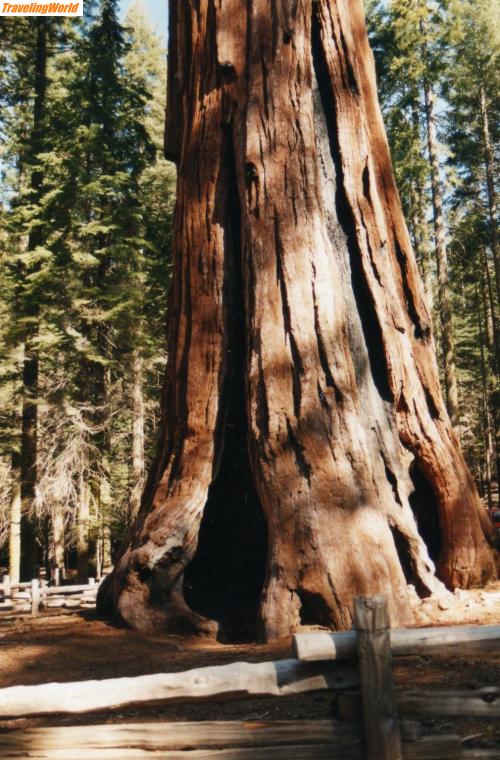 USA: File0317 / Yosemite-Nationalpark