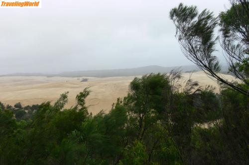 Australien: 1504 Fraser Isl. - sanddune / 