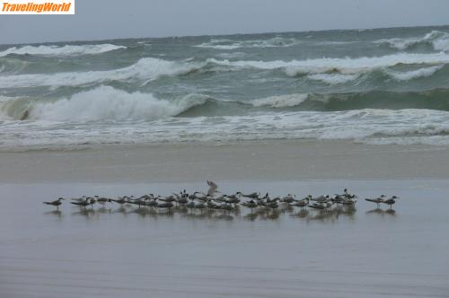 Australien: 1501 Fraser Isl. - Strand / 