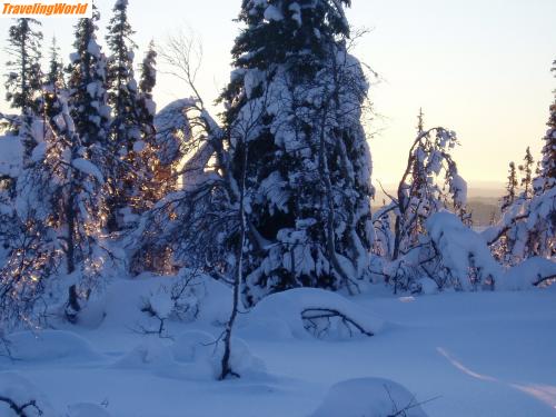 Norwegen: vekta / 