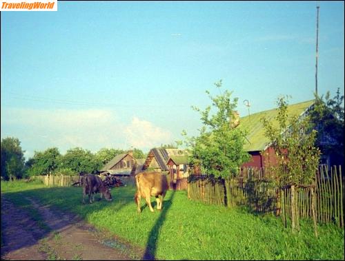 Russland: 01 b8  In Russland / 