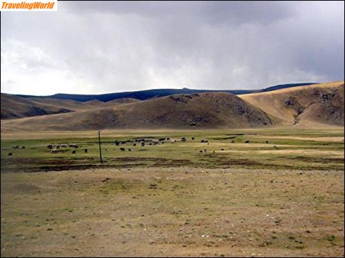 Mongolei: 02b1 In der Mongolei / 