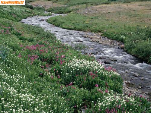 Albanien: Creek / 