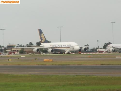 Australien: A380 in Sydney 28.10.2009 / A 380 in Sydney fuer die Airbus-Kollegen