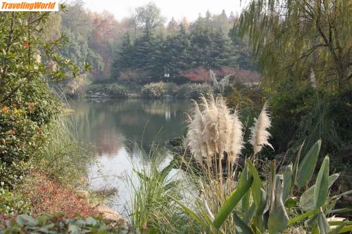 China: botanischer garten / 