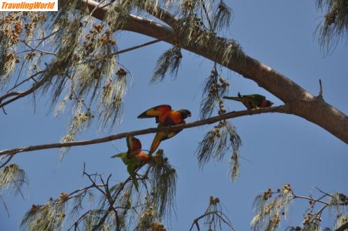 Australien: Maggie Island_2 / 