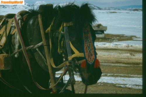 Nepal: Scannen0143 / 